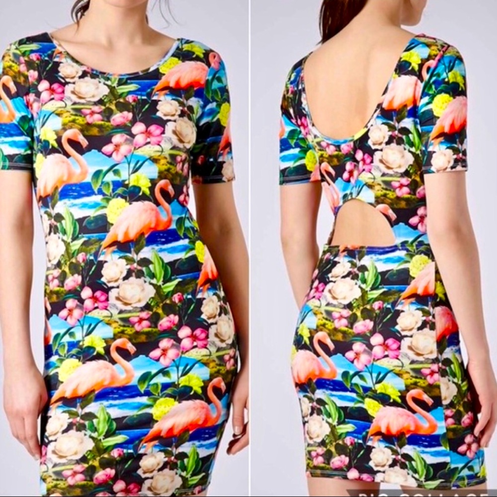 TOPSHOP Flamingo Print Cut-Out Bodycon Dress! 🌺🏝🦩🌊